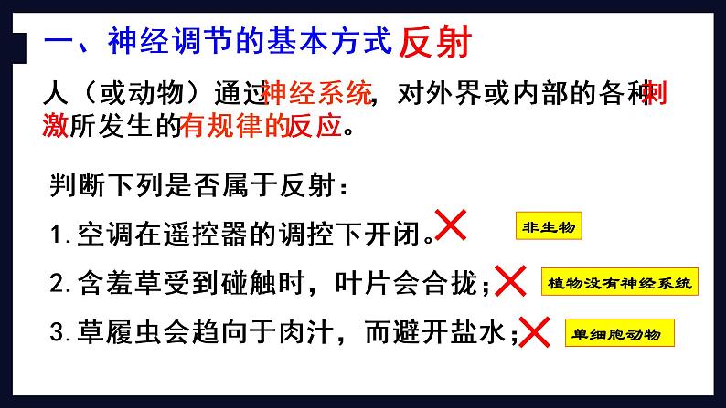 初中生物 七年级 神经调节的基本方式  课件第3页