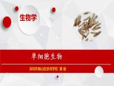 初中生物 七年级上册《单细胞生物》 课件