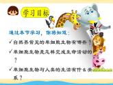 初中生物 七年级上册《单细胞生物》 课件
