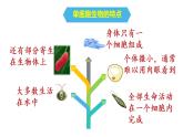 初中生物 七年级上册《单细胞生物》 课件