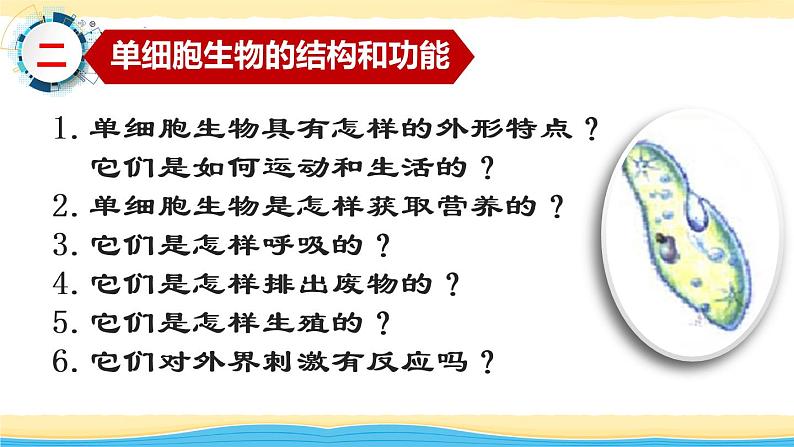 初中生物 七年级上册《单细胞生物》 课件07