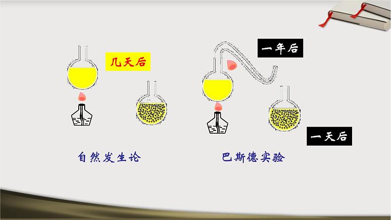 初中生物 人教版 八下 细菌 课件07