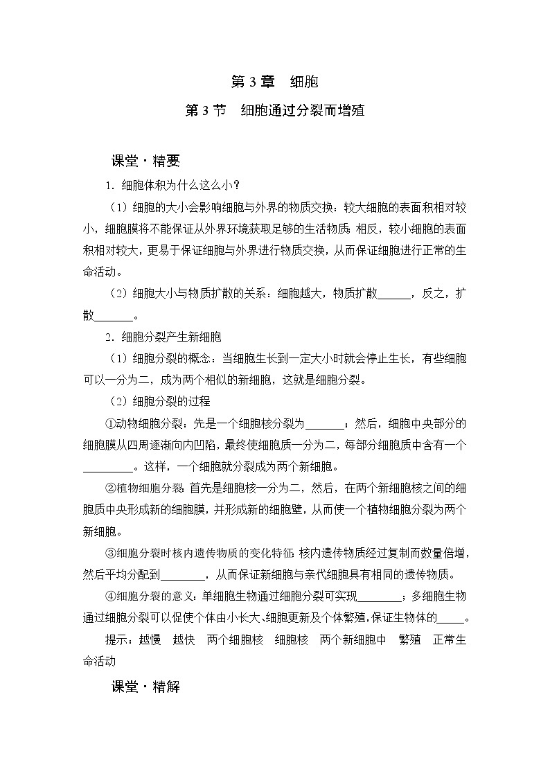 北师大版生物七上3.3《细胞通过分裂而增殖》课堂精练（有答案）01