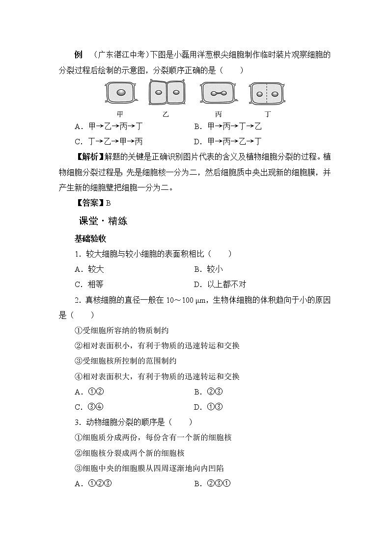 北师大版生物七上3.3《细胞通过分裂而增殖》课堂精练（有答案）02