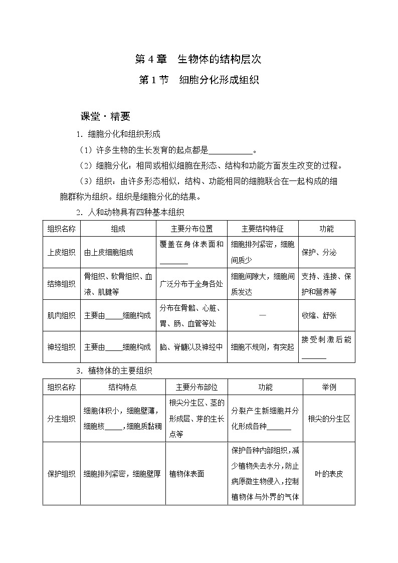 北师大版生物七上4.1《细胞分化形成组织》课堂精练（有答案）第1页