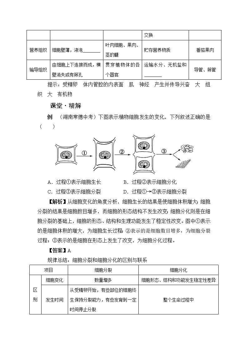 北师大版生物七上4.1《细胞分化形成组织》课堂精练（有答案）第2页