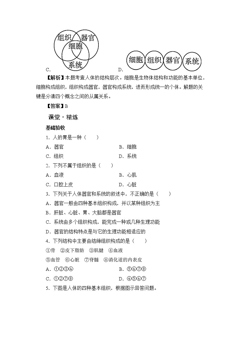北师大版生物七上4.2《生物体的器官、系统》课堂精练（第1课时）（有答案）02