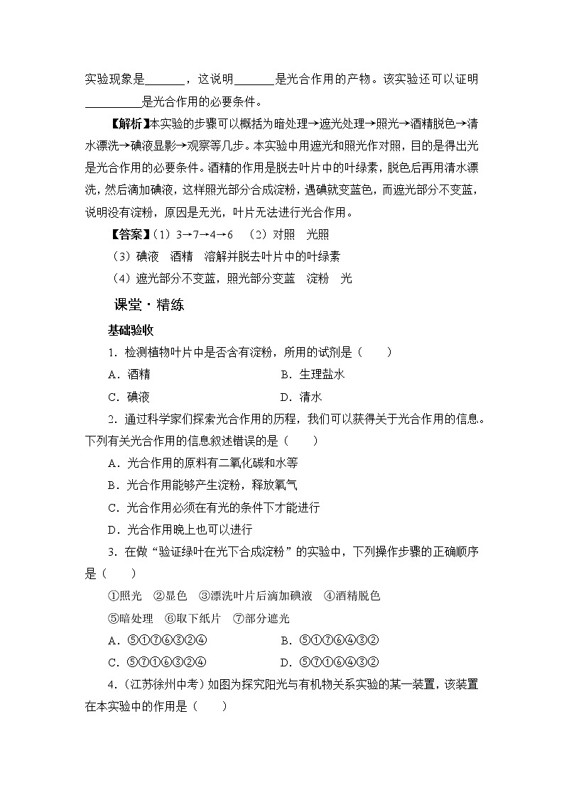 北师大版生物七上5.1《光合作用》课堂精练（第1课时）（有答案）第3页