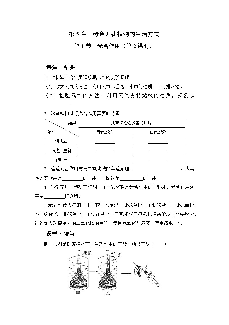 北师大版生物七上5.1《光合作用》课堂精练（第2课时）（有答案）01