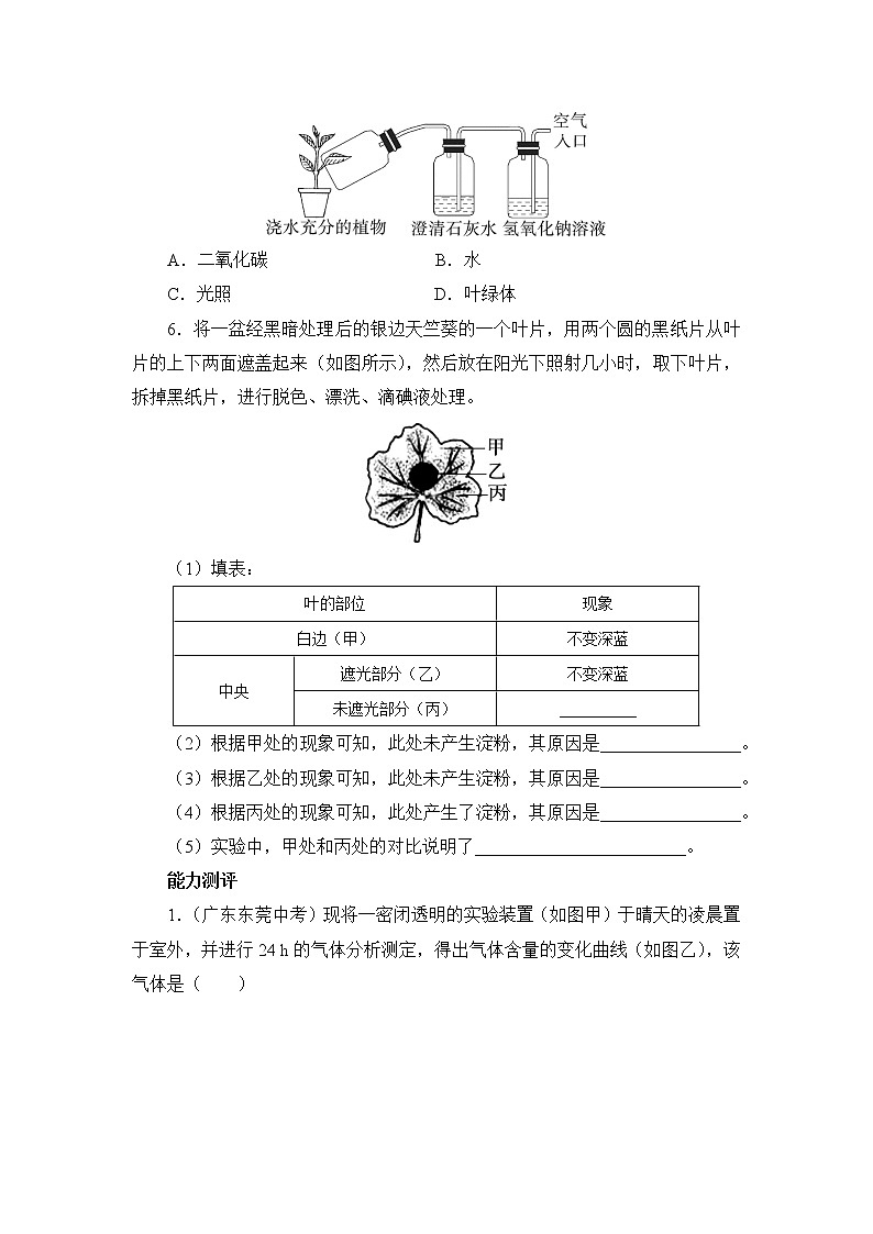 北师大版生物七上5.1《光合作用》课堂精练（第2课时）（有答案）03