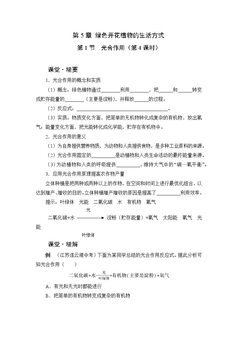 北师大版生物七上5.1《光合作用》课堂精练（第4课时）（有答案）01