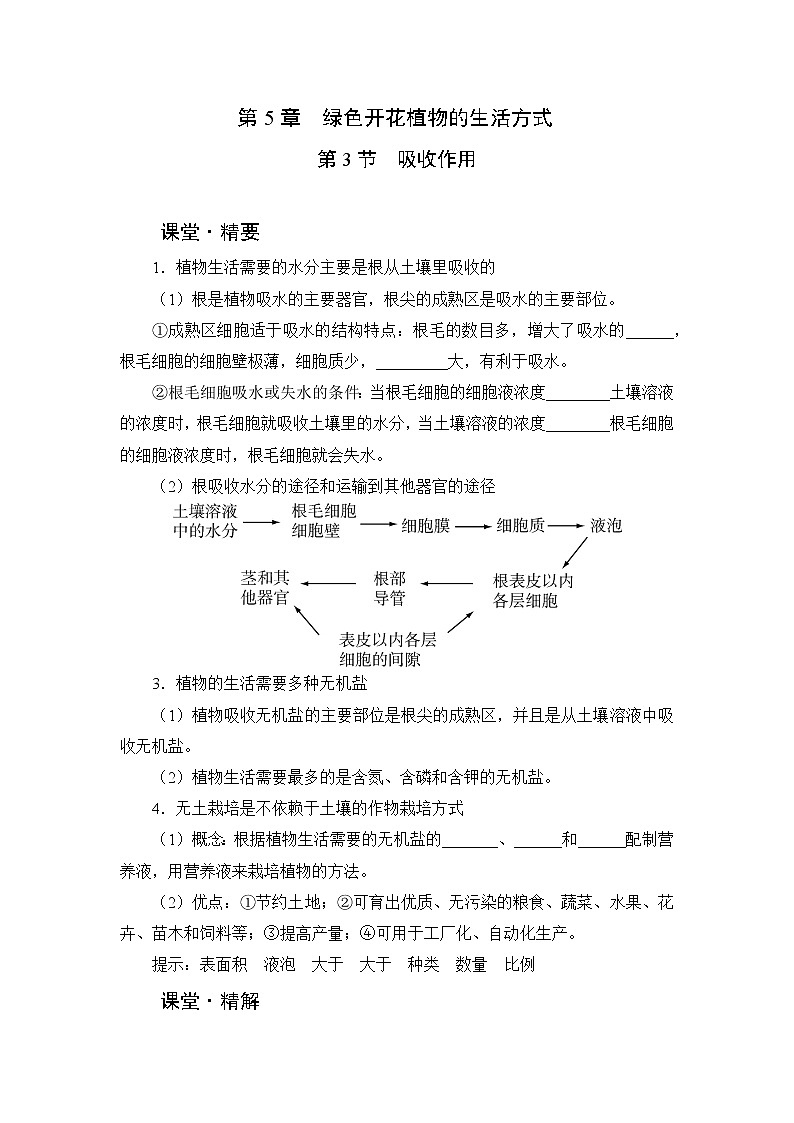 北师大版生物七上5.3《吸收作用》课堂精练（有答案）01