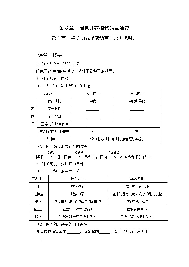 北师大版生物七上6.1《种子萌发形成幼苗》课堂精练（第1课时）（有答案）第1页
