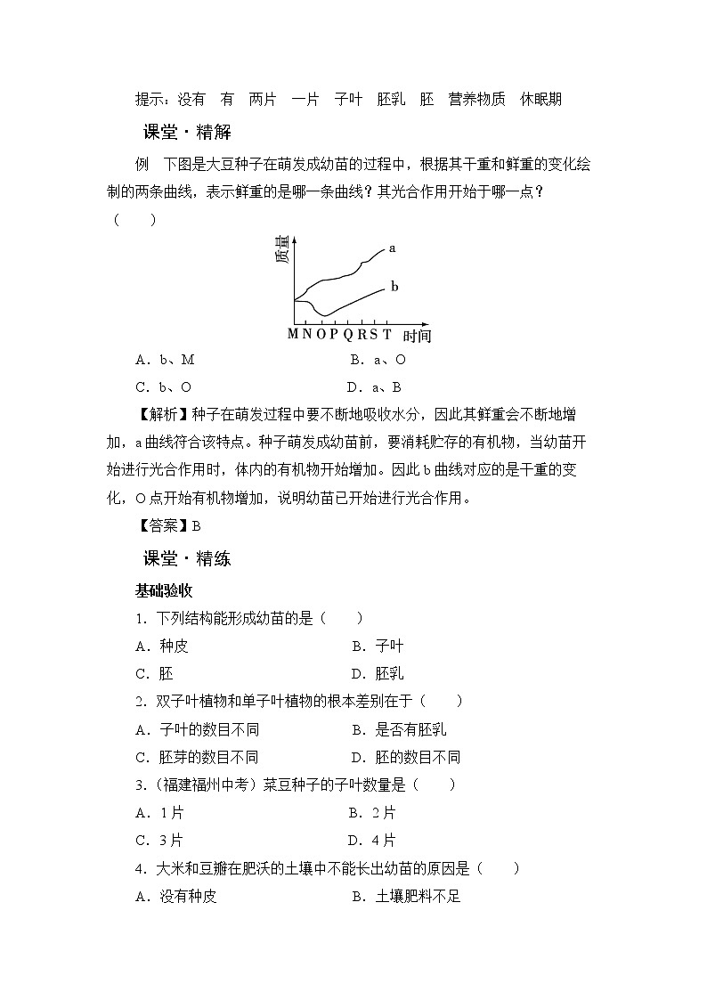 北师大版生物七上6.1《种子萌发形成幼苗》课堂精练（第1课时）（有答案）第2页