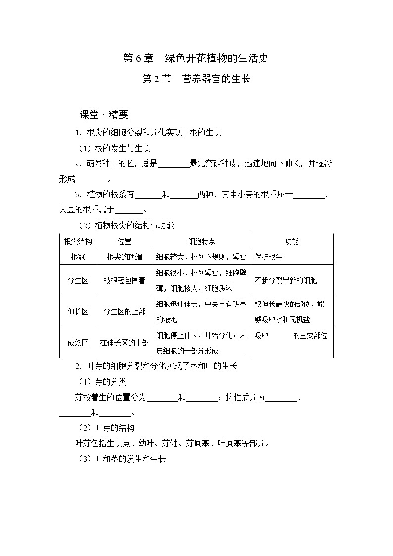 北师大版生物七上6.2《营养器官的生长》课堂精练（有答案）第1页