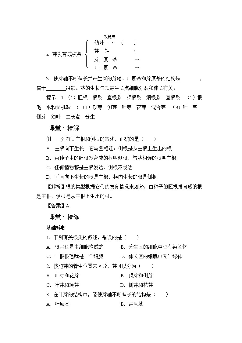 北师大版生物七上6.2《营养器官的生长》课堂精练（有答案）第2页