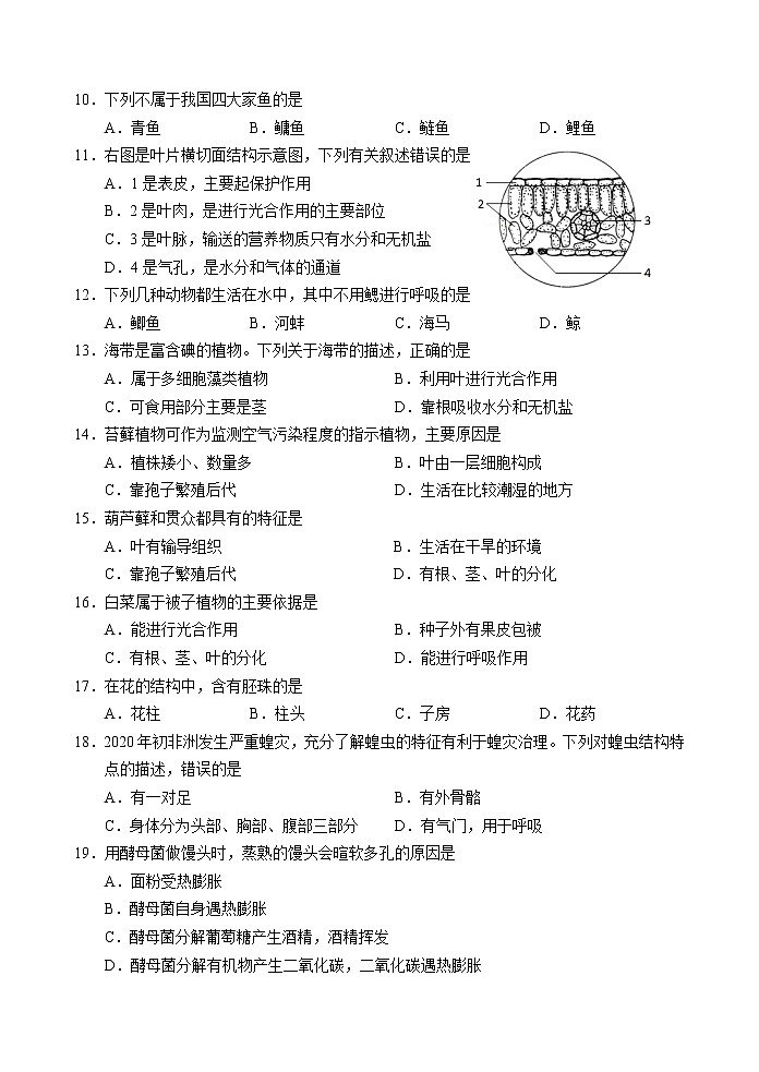 江苏省镇江市句容市、丹徒区2021-2022学年七年级下学期期末生物样卷(word版含答案)02
