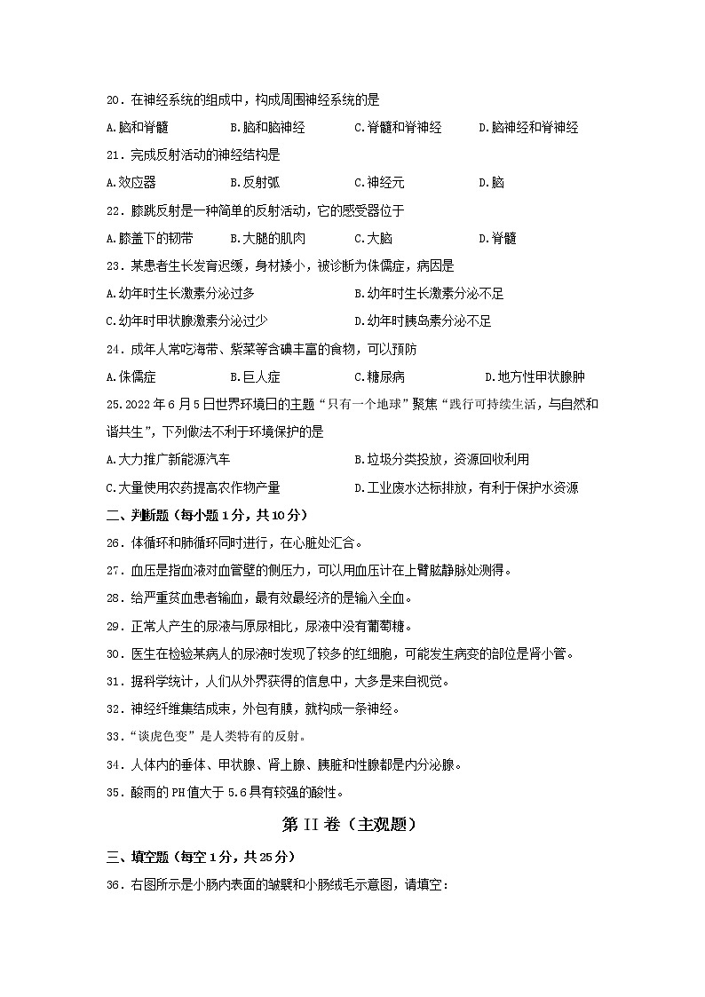 广西玉林地区2021-2022学年七年级下学期期末考试生物试题(word版含答案)第3页