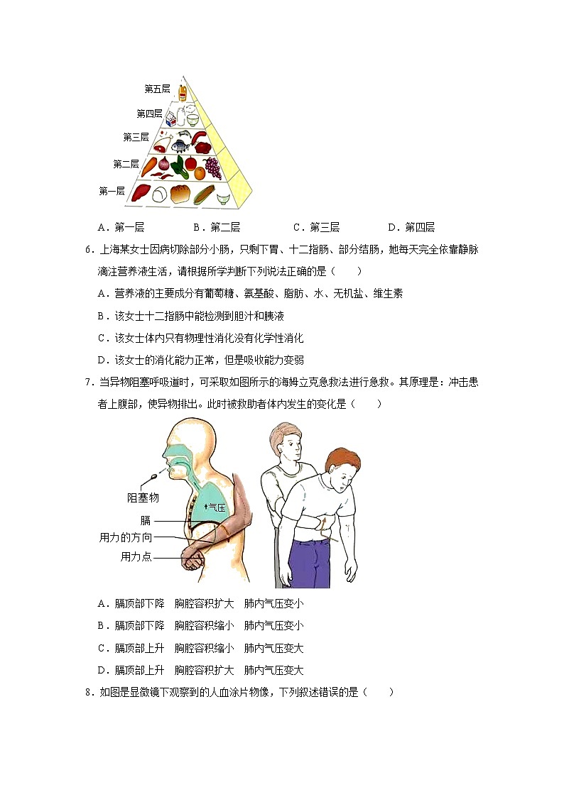 山东省潍坊市安丘市2021-2022学年七年级下学期期末生物试卷(word版含答案)第2页