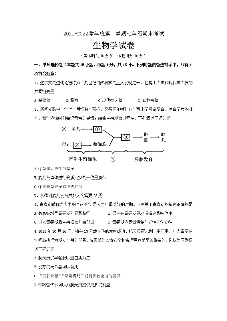 辽宁省葫芦岛市连山区2021-2022学年七年级下学期期末考试生物试题(word版含答案)01