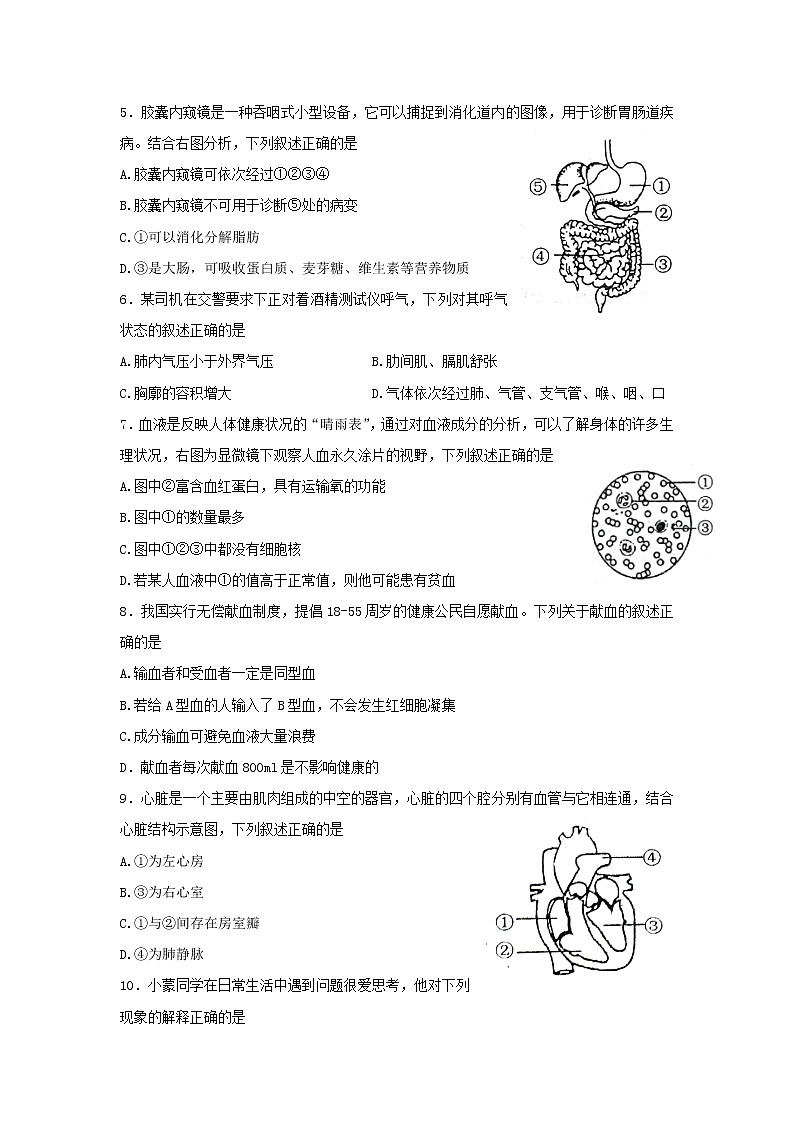 辽宁省葫芦岛市连山区2021-2022学年七年级下学期期末考试生物试题(word版含答案)02