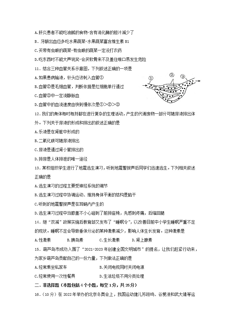 辽宁省葫芦岛市连山区2021-2022学年七年级下学期期末考试生物试题(word版含答案)03