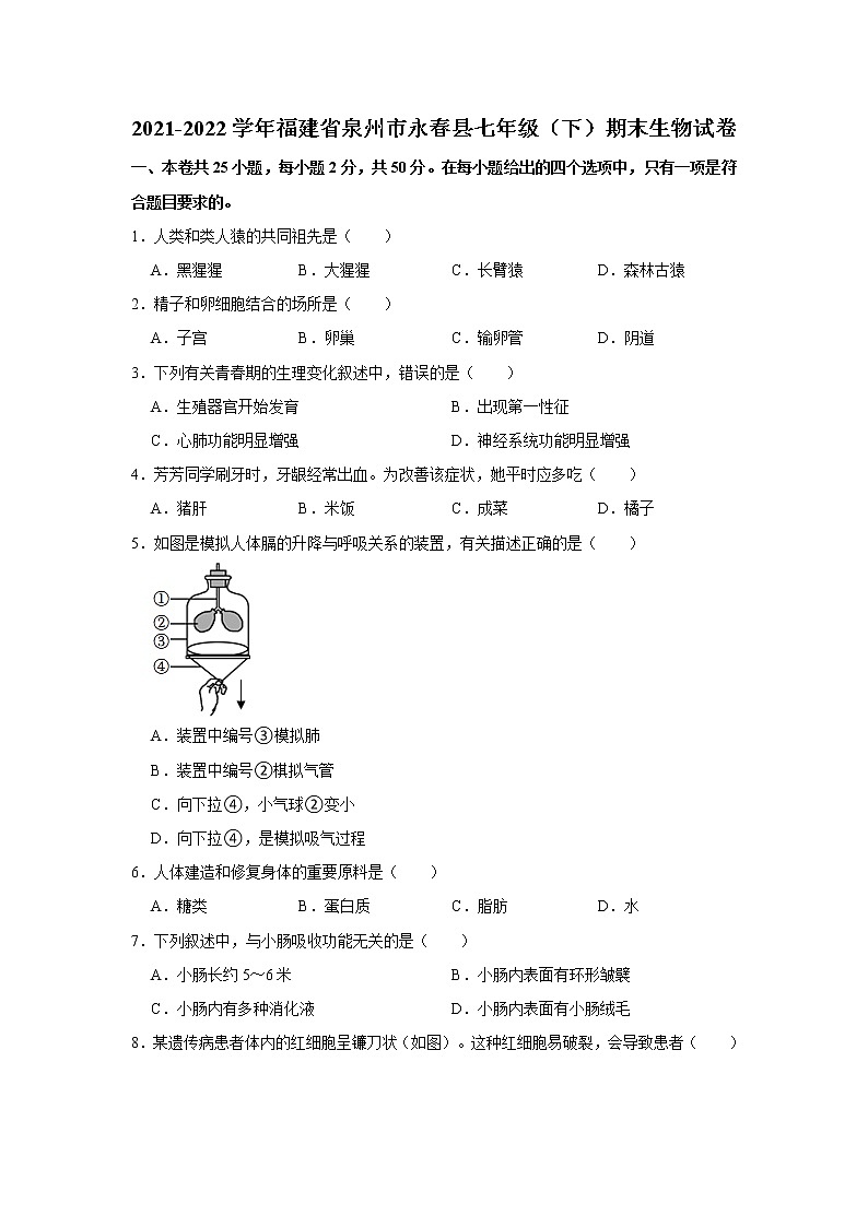 福建省泉州市永春县2021-2022学年七年级下学期期末生物试卷 (word版含答案)01
