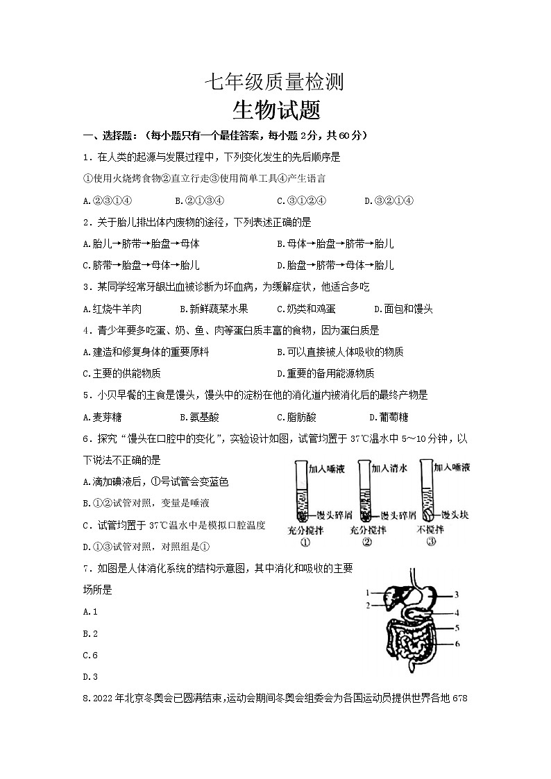 山东省临沂市费县2021-2022学年七年级下学期期末考试生物试题(word版含答案)01