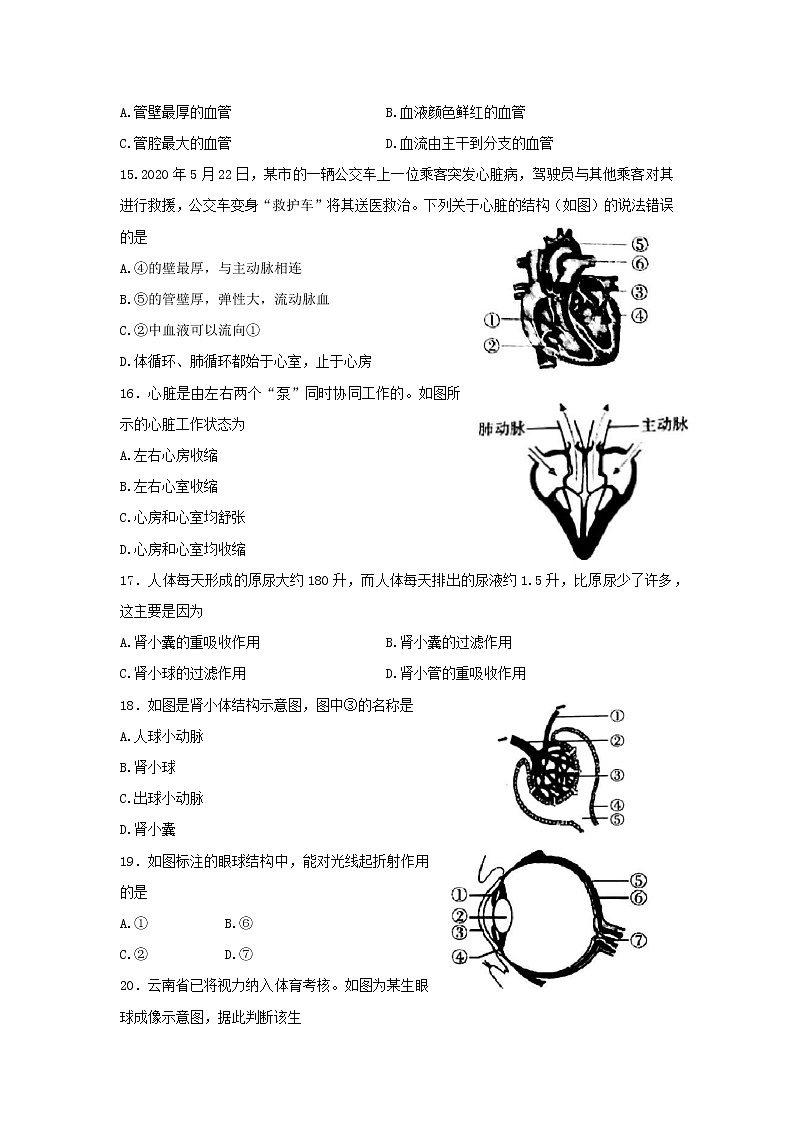 山东省临沂市费县2021-2022学年七年级下学期期末考试生物试题(word版含答案)03