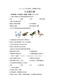 甘肃省陇南市康县2021-2022学年八年级下学期期末考试生物试题(word版含答案)