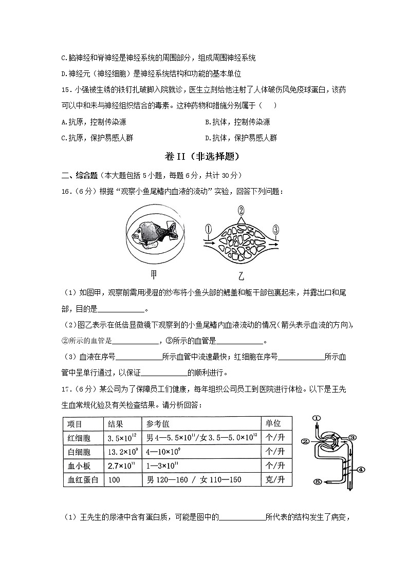 广西崇左市宁明县2021-2022学年七年级下学期期末考试生物试题(word版含答案)03