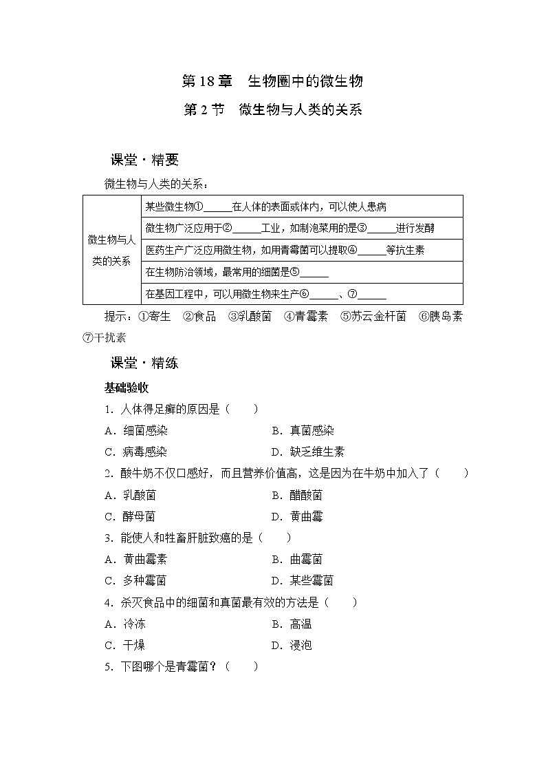 北师大生物八上第18章 第2节《微生物与人类的关系》课堂精练及答案01
