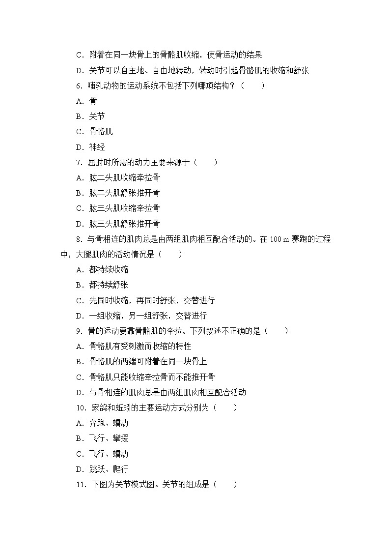 北师大生物八上第15章《动物的运动》测试卷及答案02