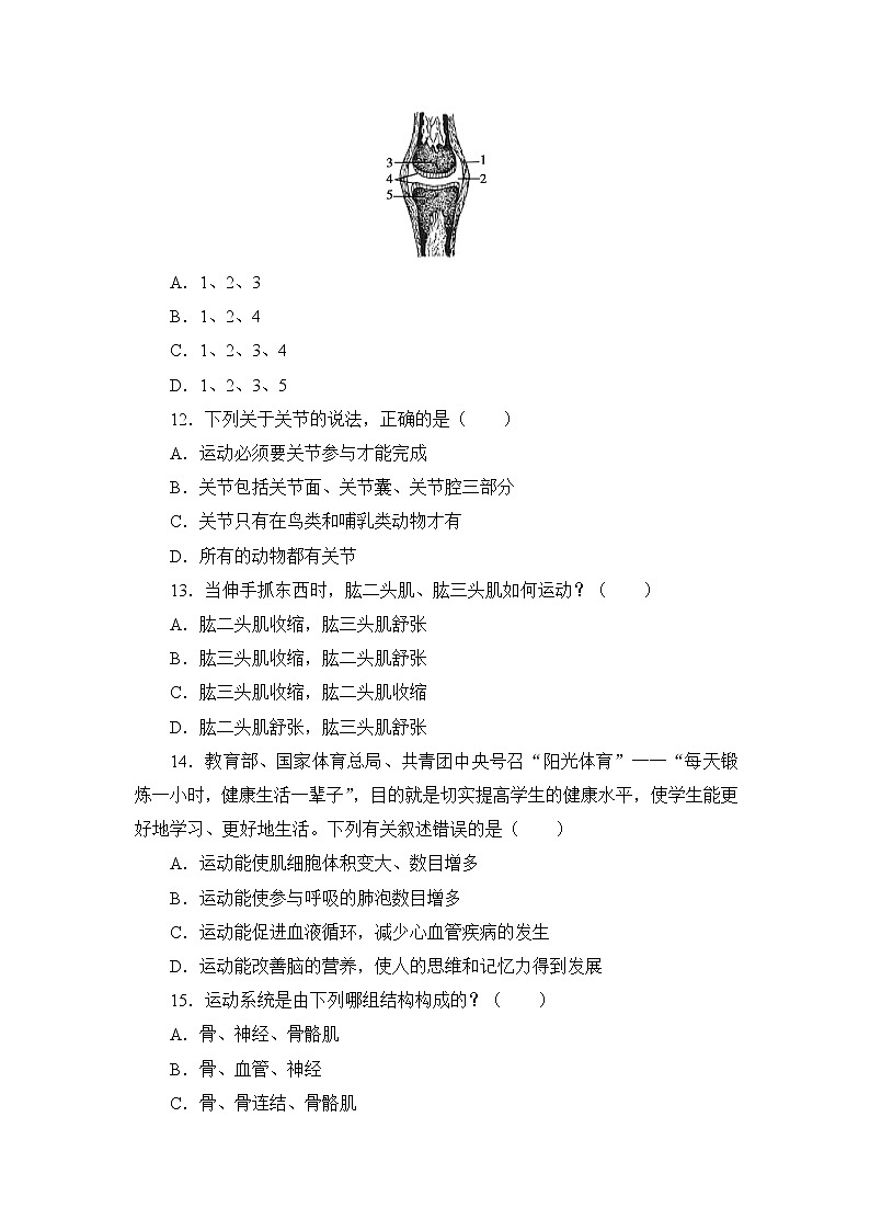 北师大生物八上第15章《动物的运动》测试卷及答案03