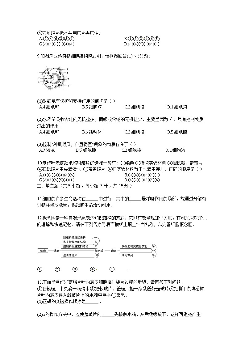 北师大版生物七上 第3章《细胞》检测题及答案第2页
