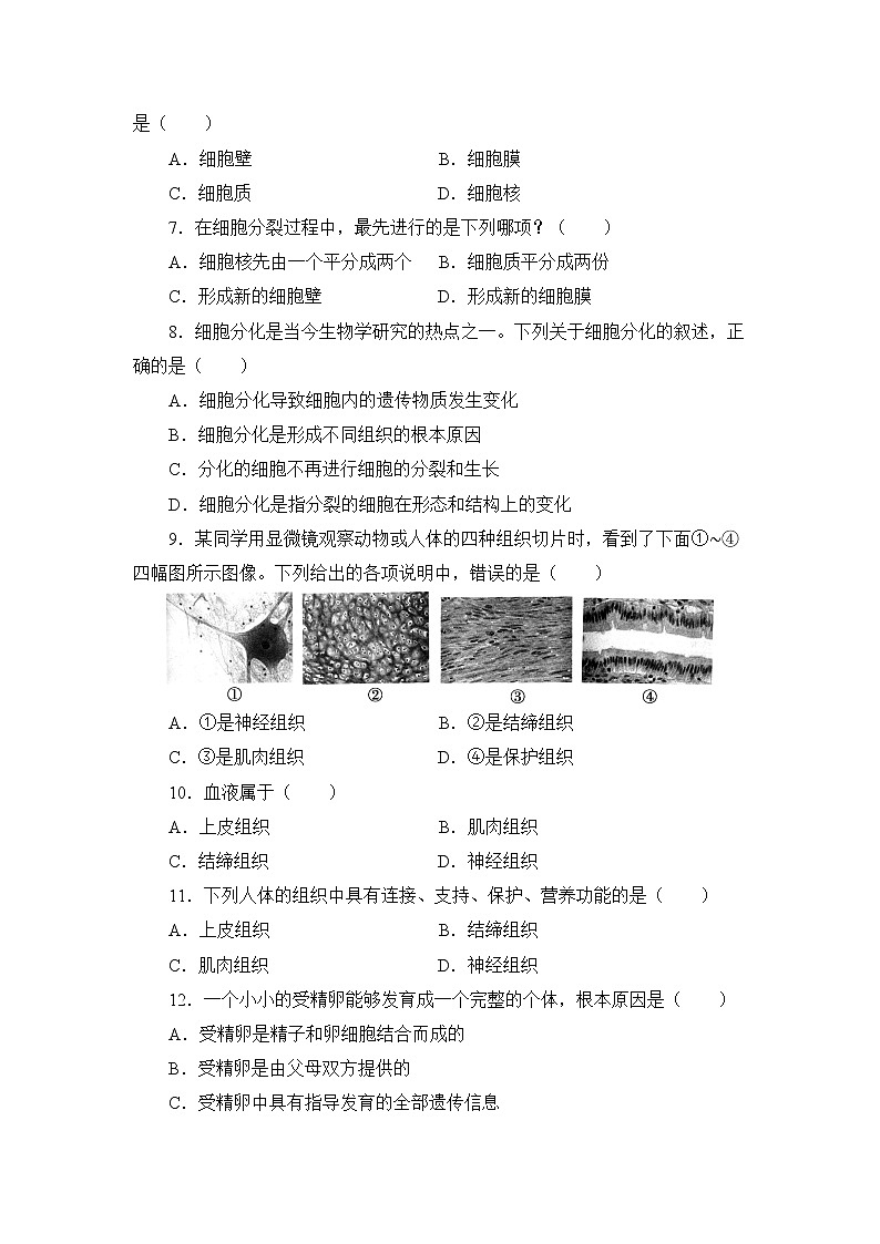 北师大版生物七上第2单元《生物体的结构》测试卷及答案02