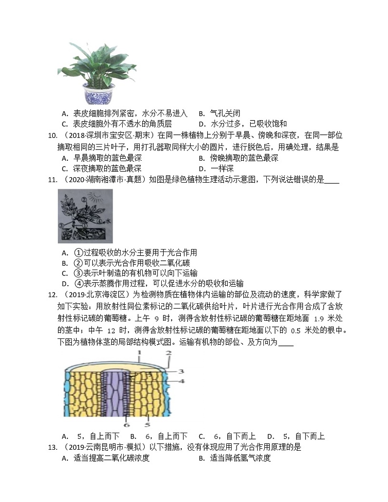 北师大版生物七上第5章绿色开花植物的生活方式练习题 (附解析）第2页