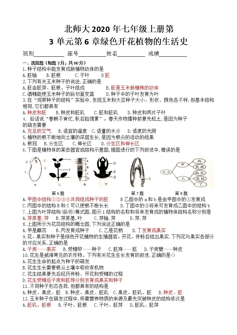 北师大版生物七上第6章绿色开花植物的生活史练习题（有答案）01