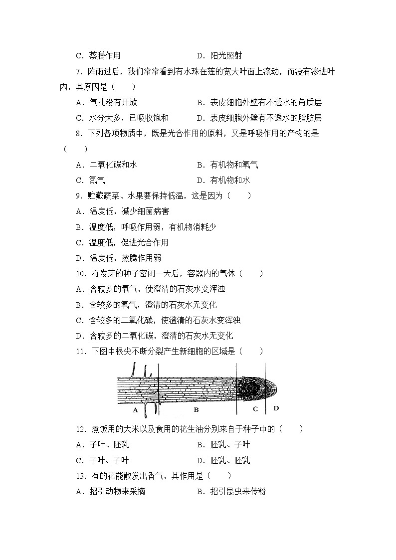 北师大版生物七上第三单元《生物圈中的绿色植物》测试卷及答案第2页