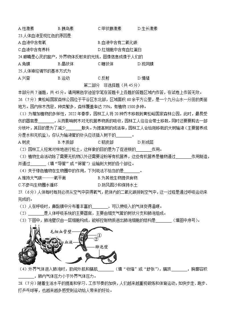 北京市平谷区2021-2022学年七年级下学期期末生物试题(word版含答案)第3页