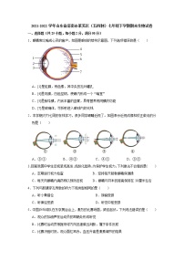 山东省济南市莱芜区（五四制）2021-2022学年七年级下学期期末考试生物试题(word版含答案)