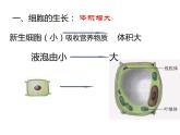 《细胞通过分裂产生新细胞》课件