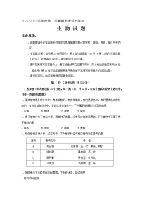 山东省济南市莱芜区（五四制）2021-2022学年六年级下学期期末考试生物试题(word版含答案)