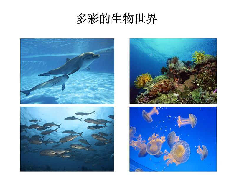 人教版生物七年级上册《致同学们》课件.pptx06