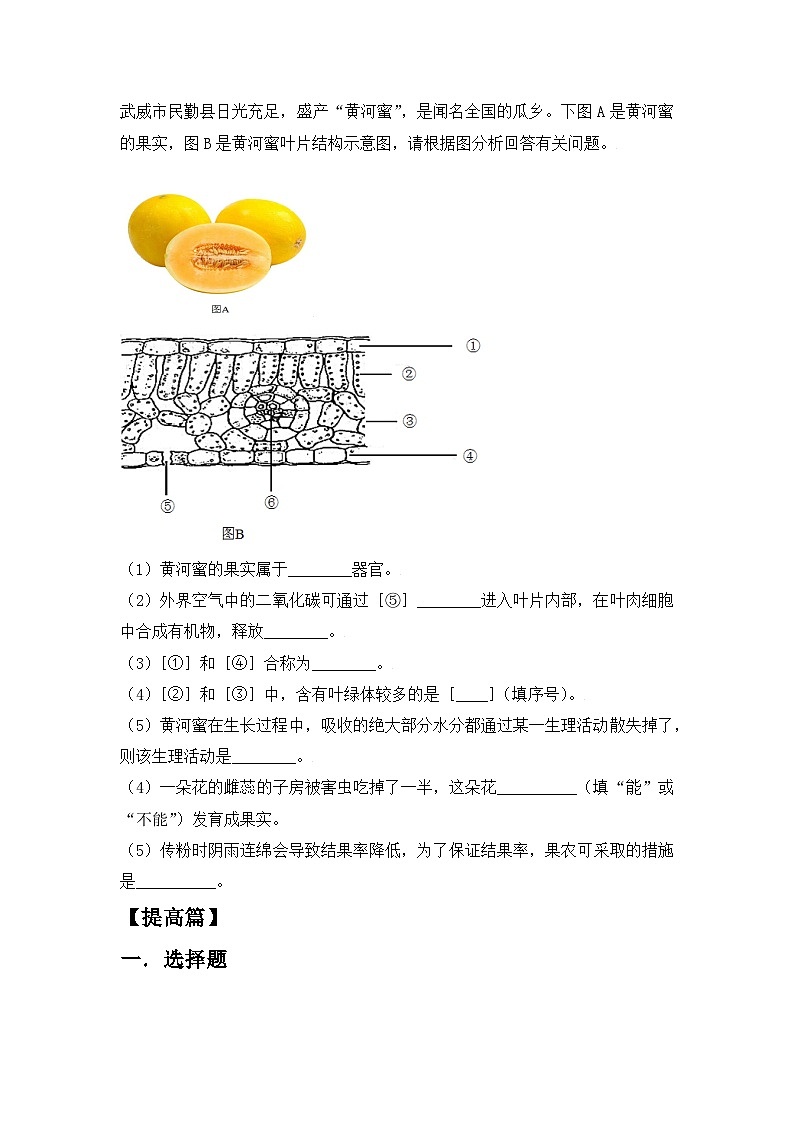 人教版初中生物七年级上册3.3《绿色植物与生物圈的水循环》同步分层练习（含答案）第2页