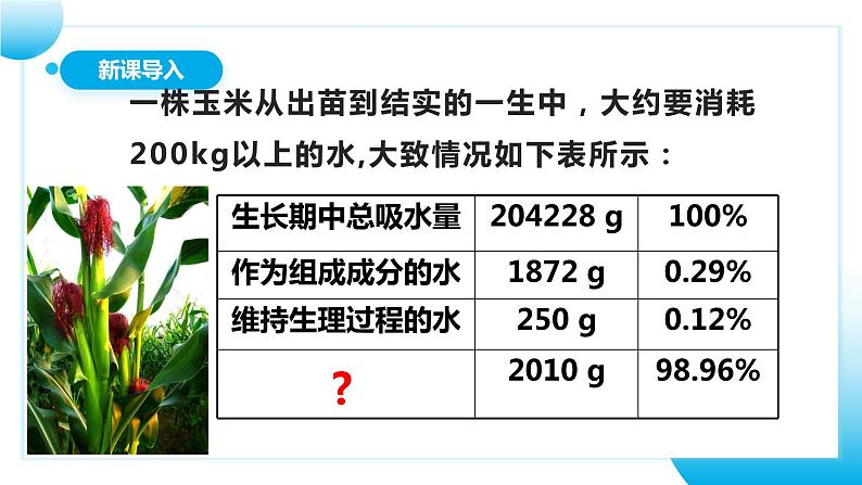 人教版初中生物七年级上册3.3《绿色植物与生物圈的水循环》课件第3页