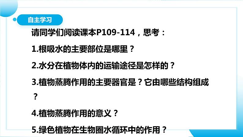 人教版初中生物七年级上册3.3《绿色植物与生物圈的水循环》课件第5页