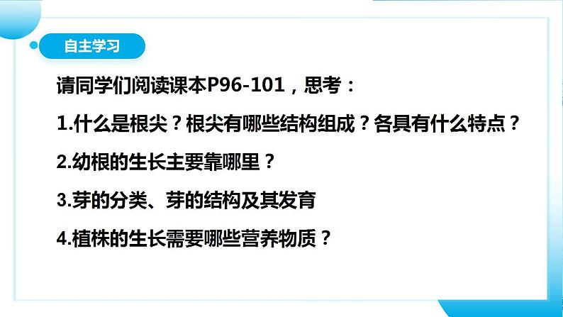 【核心素养目标】人教版 (新课标)初中生物七年级上册3.2.2《植株的生长》课件+教案+同步分层练习（含答案）06