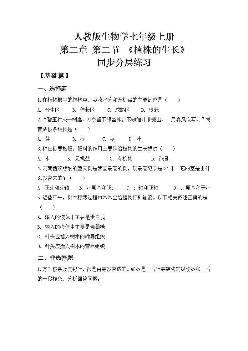 【核心素养目标】人教版 (新课标)初中生物七年级上册3.2.2《植株的生长》课件+教案+同步分层练习（含答案）01