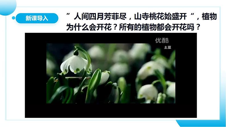 人教版初中生物七年级上册3.2.3《开花和结果》课件第3页